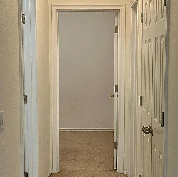 3117 Rokeby Cv — Photo 7