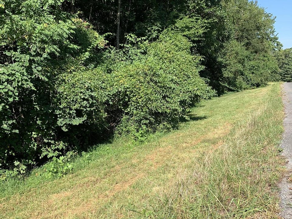 2nd image of 10 County Road 705