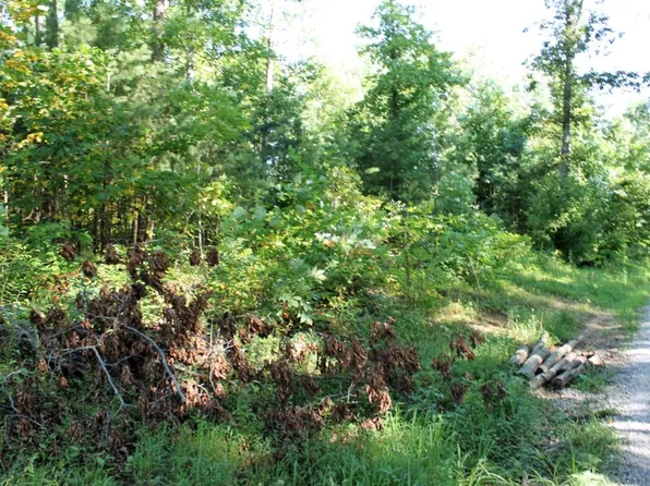 Leatherwood Rd, Oneida, TN 37841