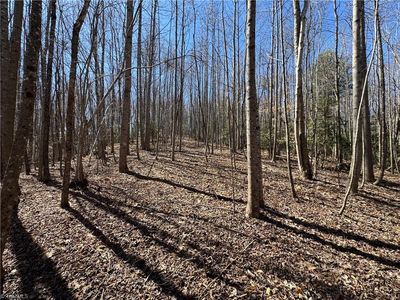 Old State Highway 18, Wilkesboro, NC, 28697