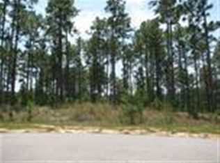 156 Ziegler Ct LOT 67, West End, NC 27376