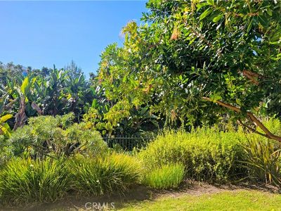 34146 Selva Rd Unit 198, Dana Point, CA, 92629