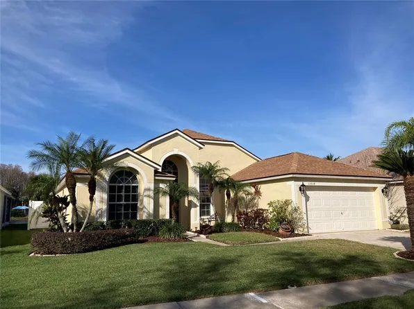 13534 White Elk Loop, Tampa, FL 33626