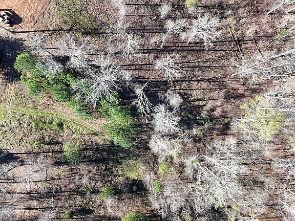 4th image of 105 Crestview Rd