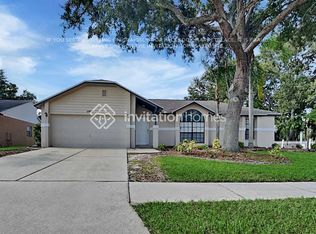 11401 Andy Dr, Riverview, FL 33569