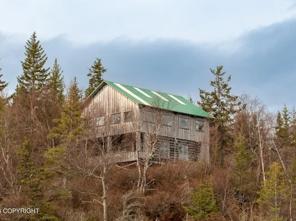 44956 Bear Island Rem SW, Homer, AK 99603