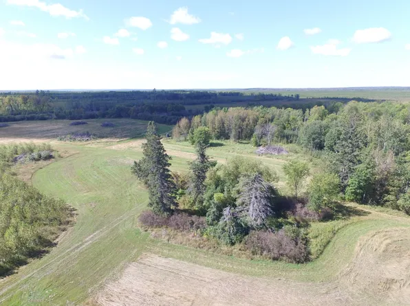 28291 Mud Lake Rd, Bagley, MN 56621