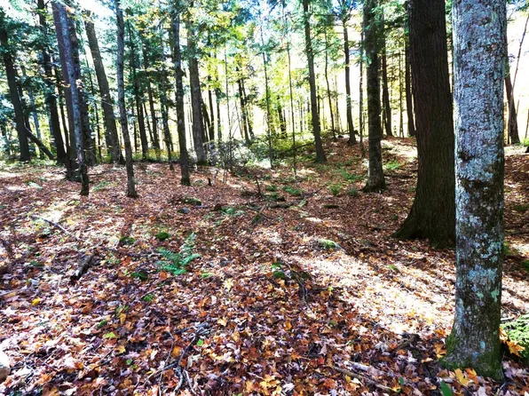 On Enterprise Lake Rd, Elcho, WI 54428