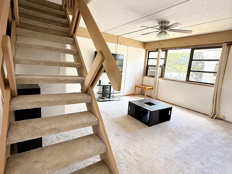 310 Kamehameha Hwy — Photo 10