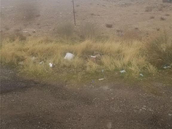 4th image of Miller Ave