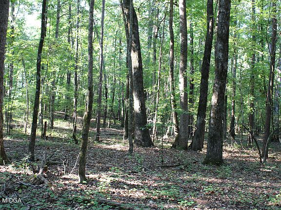 5th image of 0 Greensboro Rd