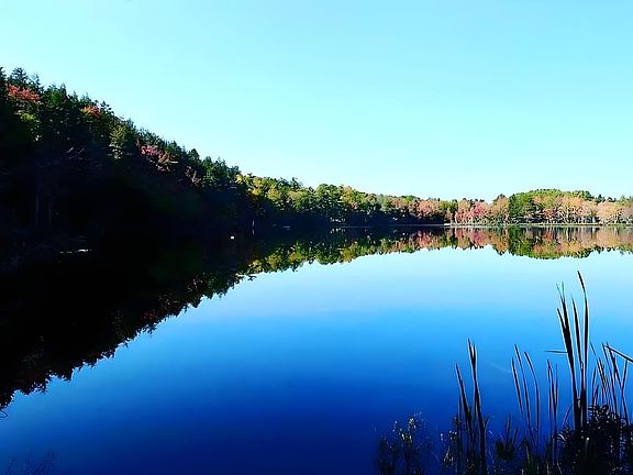 2nd image of 95 Natural Forest Lake Rd