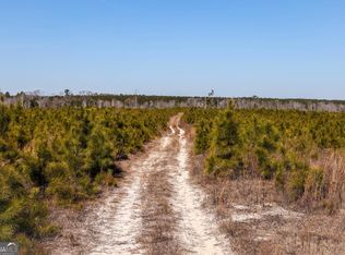 0 Scotland Rd, Dublin, GA 31021