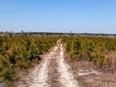 0 Scotland Rd, Dublin, GA, 31021