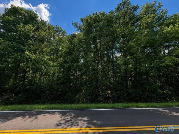 1311A Adamsburg Rd, Fort Payne, AL 35967