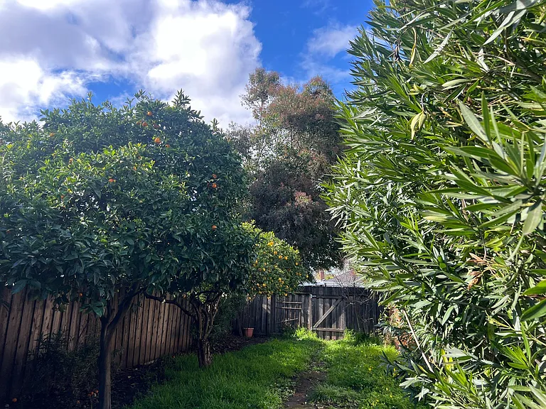 Yard