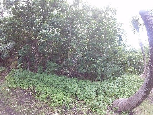 1st image of Kahi Koa Pl Lot 79