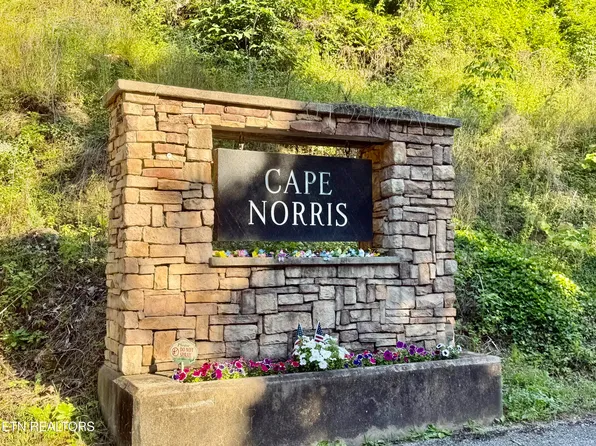 376 Norris View Dr, New Tazewell, TN 37825