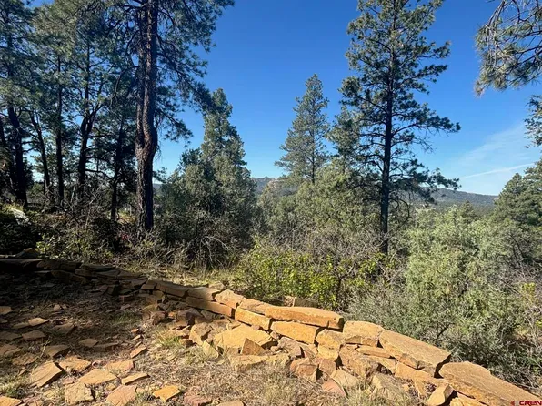878 West View Road, Pagosa Springs, CO 81147