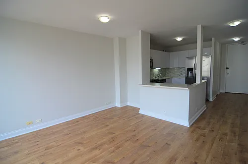 405 N Wabash Ave Photo 1