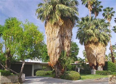 3rd image of 480 E Avenida Palmera