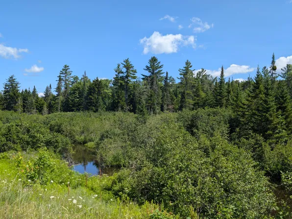 10279 Adirondack Trl, Malone, NY 12953