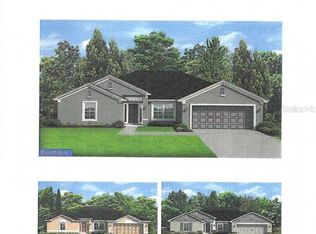 16228 Vine Cliff Ave, Hudson, FL 34667