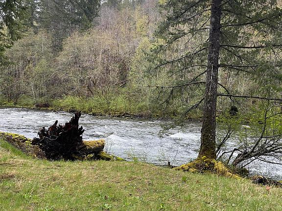 3rd image of 49950 N Santiam Hwy SE
