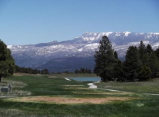 1774 Marmot Dr, Ridgway, CO 81432