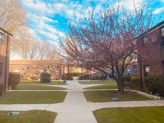 Rented by Silverstein Collection LLC  | media 6