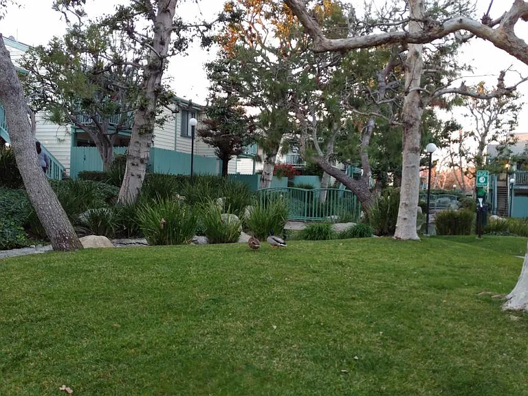 Greenery