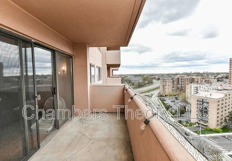 1301 N Courthouse Rd #1605 — Photo 19