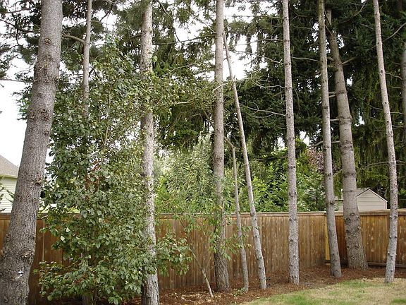 4th image of 1306 SE 182nd Ave