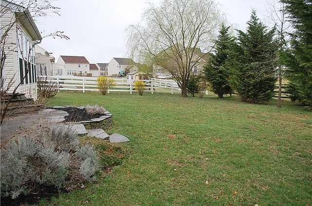 Spacious and Private Back Yard