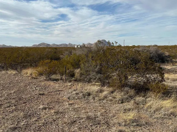 Coyote Ln Lot 19, Columbus, NM 88029