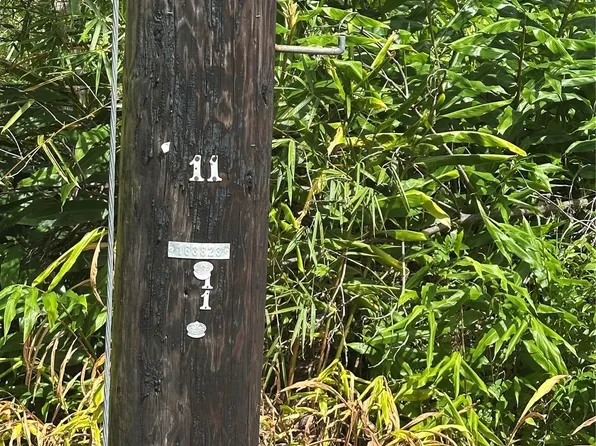 115 Kuhio Dr, Pahoa, HI 96778