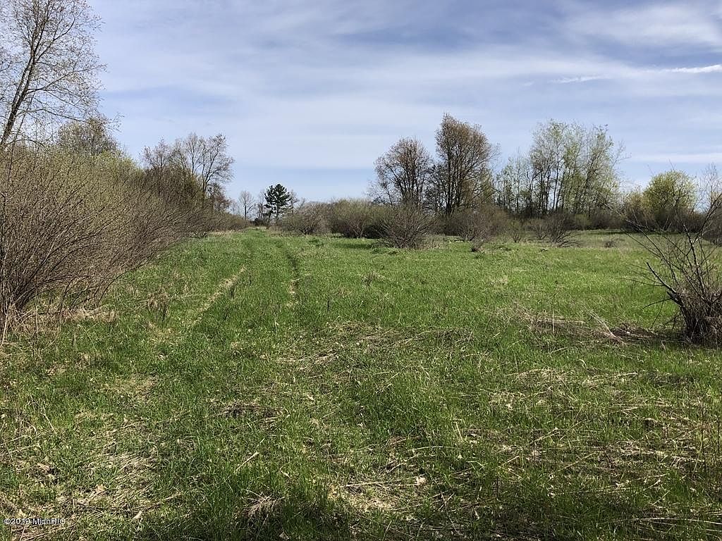 Townline Lake Rd, Lakeview, MI 48850 Zillow