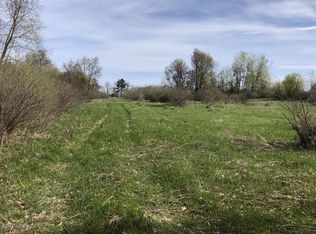 Townline Lake Rd, Lakeview, MI 48850