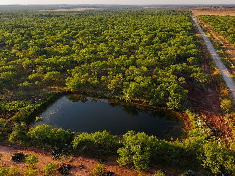 Tyra West Ranch - Land for Sale in Young County