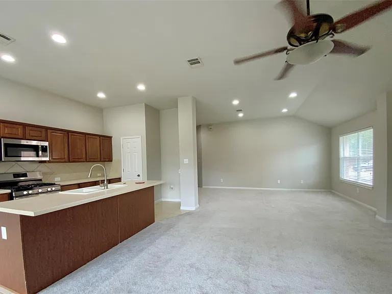 18704 Silent Water Way — Photo 10