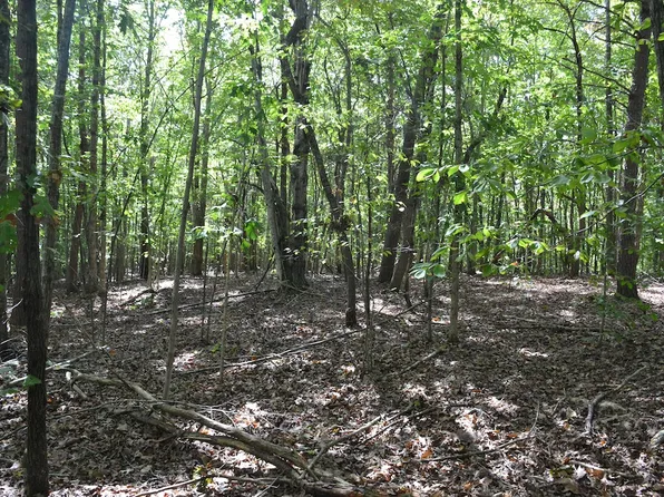 Sundance Dr Lot Wp001, Lynchburg, VA 24504