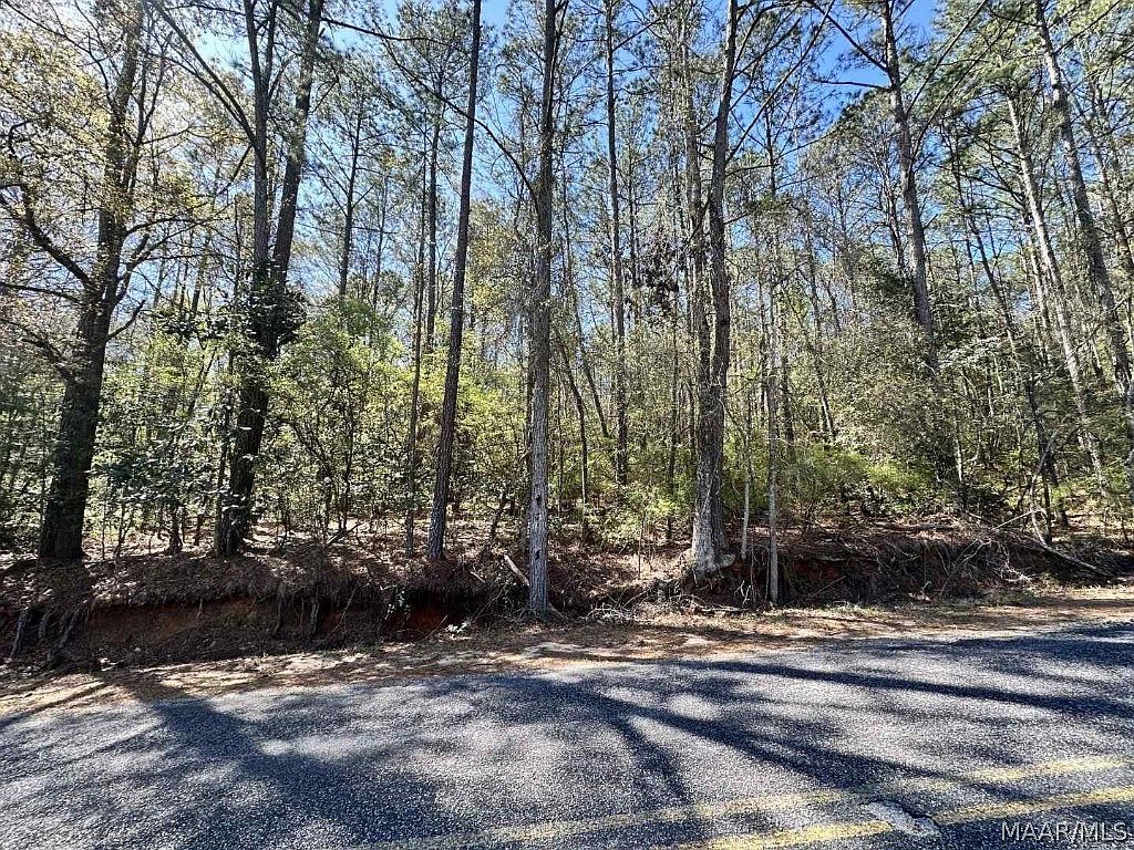 Mary McClendon Rd, Skipperville, AL 36374 MLS 550130 Zillow