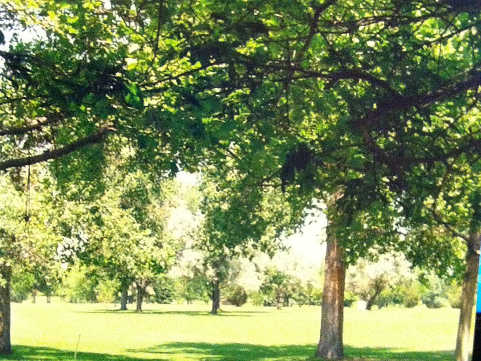 View from front door