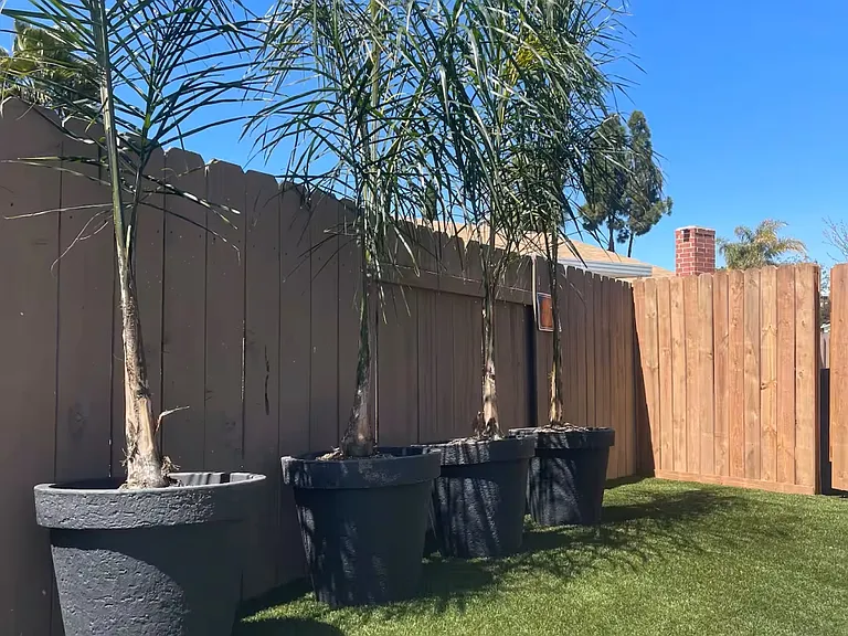 8492 Aquarius Dr #1 — Photo 18