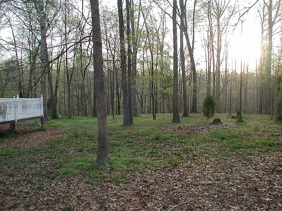 Fenced Back Yard