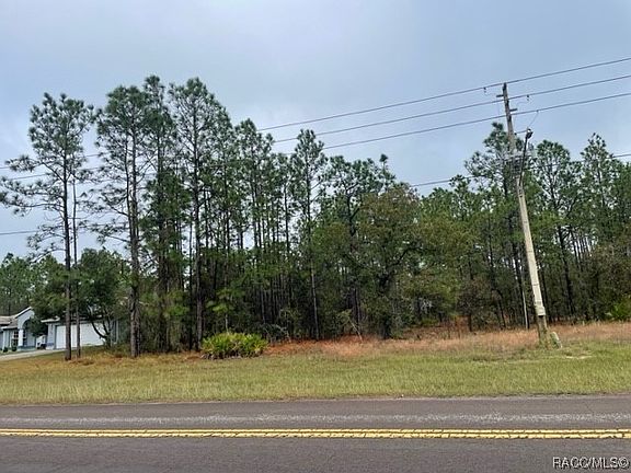 5th image of 58 Corkwood Blvd
