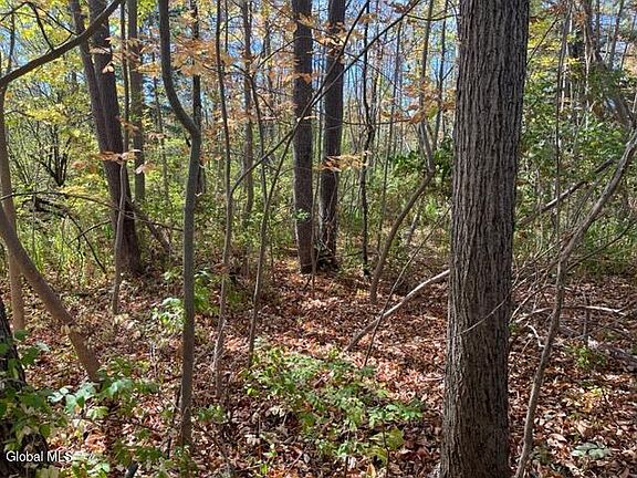 5th image of L27 Duanesburg Road