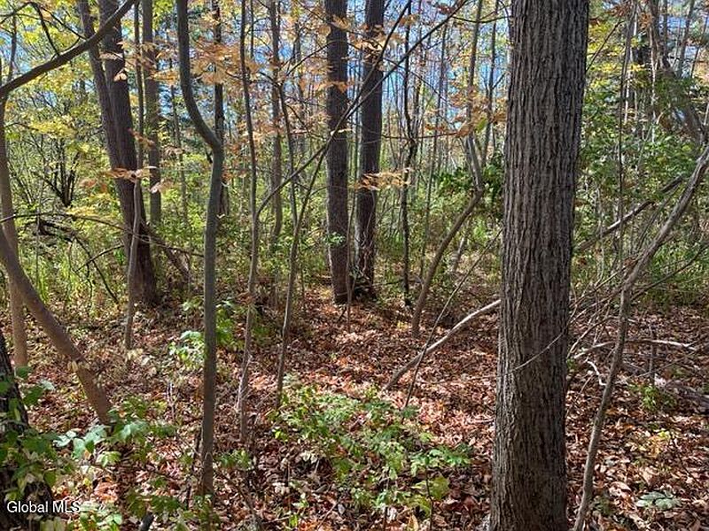 5th image of L27 Duanesburg Road