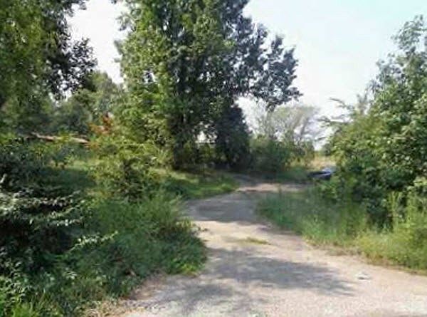 2nd image of 4428 Windy Hollow Rd