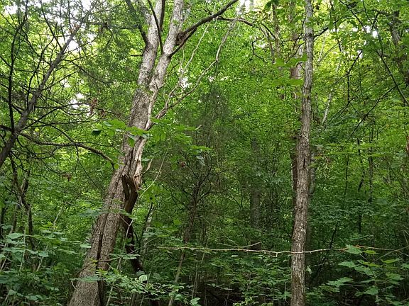 2nd image of 520 Byrd Creek Rd
